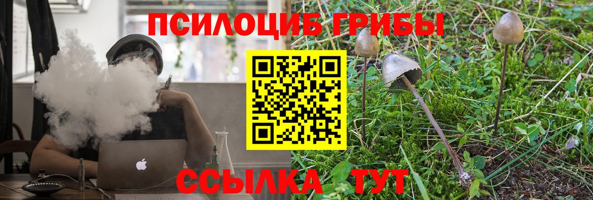 как найти закладки  Галлюциногенные грибы MAGIC MUSHROOMS  Вход с VPN  Псилоцибиновые грибы GOLDEN TEACHER  Новокубанск 